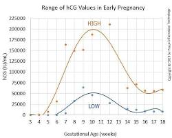 Chart showing hCG levels doubling every 48 hours during early pregnancy week 4